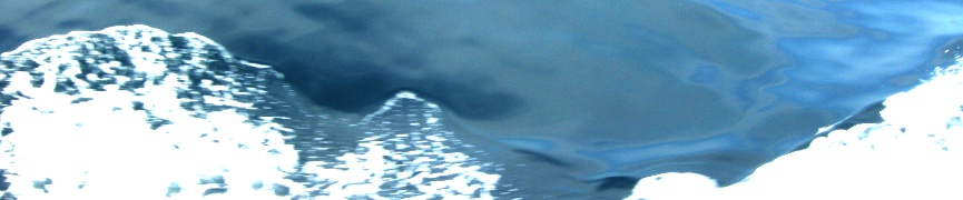 Random header image... Refresh for more!
